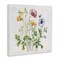 Stupell Industries Wild Botanical Bundle Canvas, design by Nicole DeCamp